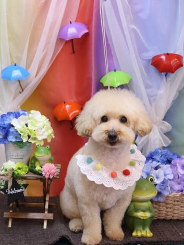 20230602こじろうくん